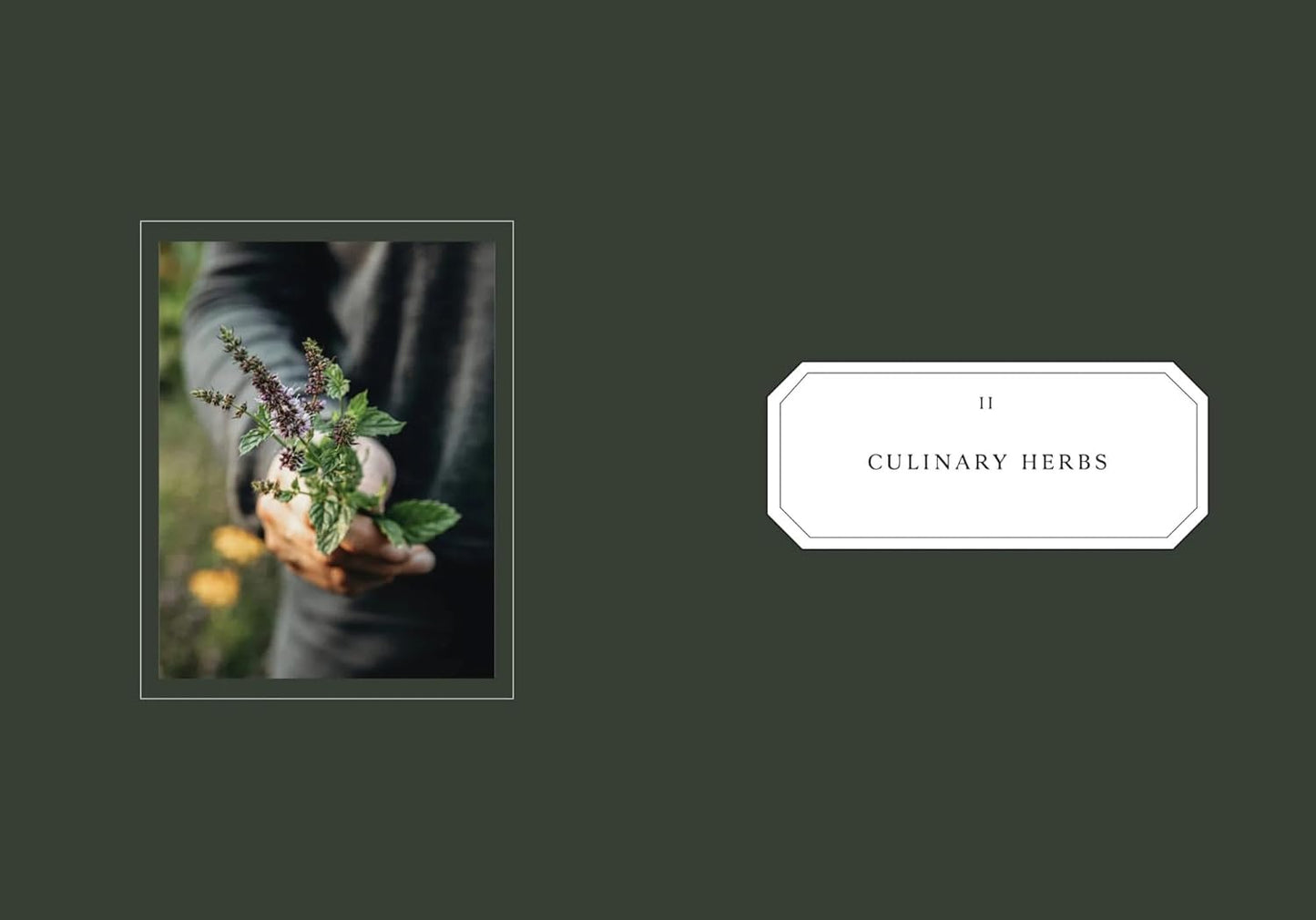 Living with Herbs - Aamu.co.uk - NordicBuddies