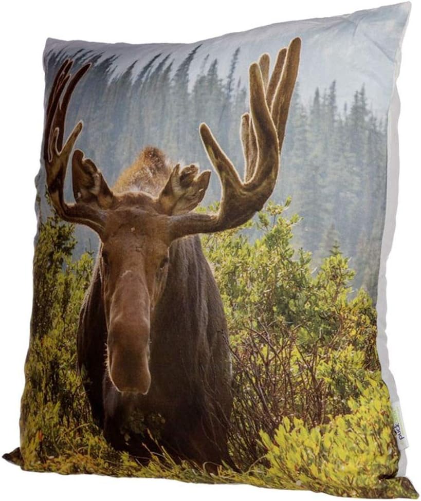 Moose Photo Cushion Cover with Insert 50 x 50cm - Aamu.co.uk - Puckator - Aamu.co.uk